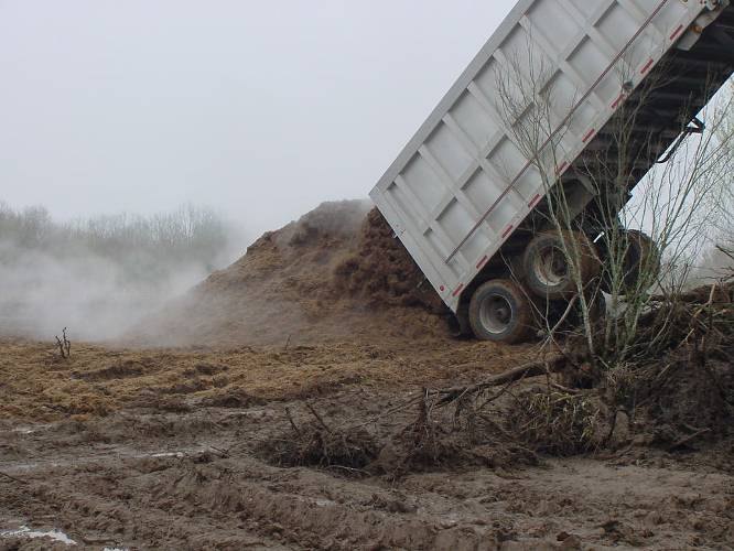 Hay being spread on a salt site before treatment